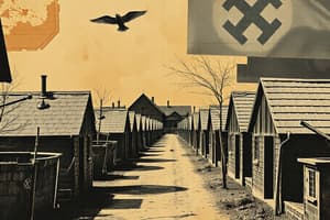 Nazi Concentration Camps: Capture and Arrival