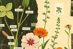 Plant Labeling Basics