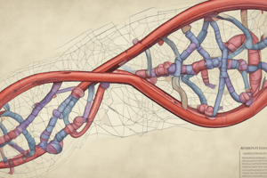 Inborn Errors of Metabolism (Medium)