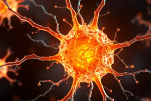 Overview of the Cytoskeleton