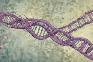 Chromosomal Abnormalities