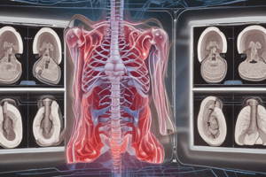 Chest Radiology Exam