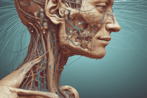 Anatomy of the Pharyngeal Plexus of Nerves