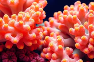 Porifera and Cnidaria Terminology