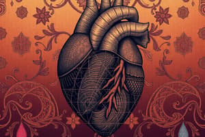 Cardiac Cycle: Systole and Diastole