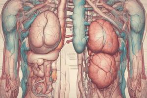 Endocrine System histo