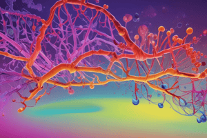 BMS2043 Analytical and Clinical Biochemistry Spectroscopy Lecture Objectives