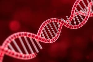 Trascrizione e Traduzione del DNA