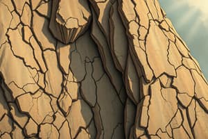 Geology: Weathering and Deformation of Rocks