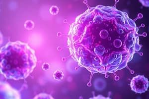 Lymphocyte Roles and Development Quiz