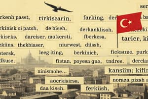 Turkish Language Basics