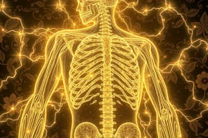 Musculoskeletal & Nervous System Overview