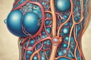 Lymphatic System and Fluid Management