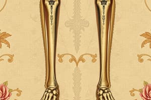 Schatzker Classification of Tibial Plateau Fractures