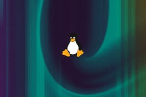 Linux OS paleidimo tvarka