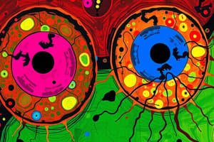 Meiosis Diagram Labeling