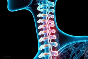 Cervical Spine Examination