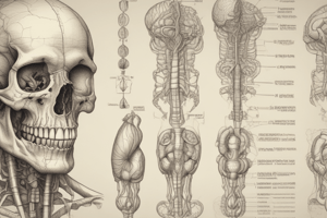 DIGESTIVE SYSTEM