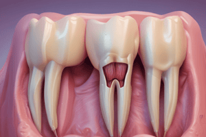 Dental Pulp