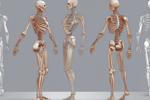 Biomechanics of Gait Stage 1 and 2