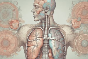 Accessory Muscles of Respiration