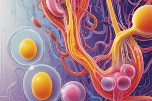 Human Nephron and Urine Analysis