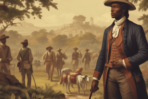 American Colonial History: Slavery in South Carolina and Georgia