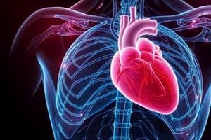 Skeletal and Cardiac Muscle Contraction