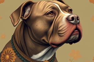 Pitbull Dog Breeds Quiz