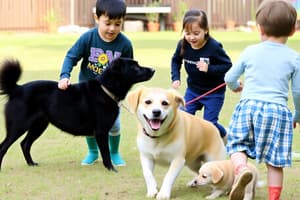 Hunde und Kinder: Spielzeit im Freien