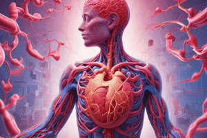 Cardiovascular Disorders: Heart Anatomy and Physiology in Children