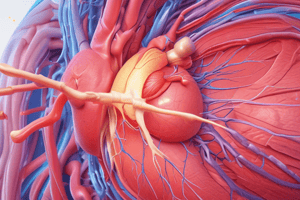 L12 Cardiac Muscle Properties and Functions