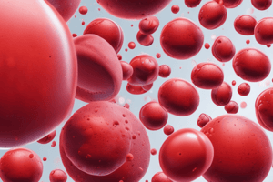 Anaemia: Types and Causes Overview