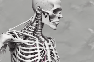 Sternoclavicular Joint Injuries