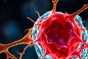 Cell Junctions Overview