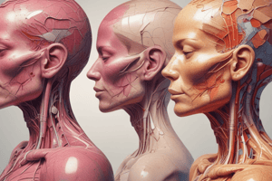 Human Body Anatomy Overview