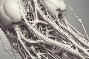 Medical Biology: Bone Structure and Functions