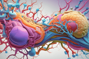 Receptor Types and Responses Quiz