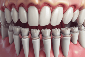 The Periodontium: Alveolar Bone and Process