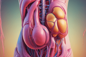 Urinary System: Physical Characteristics of Urine