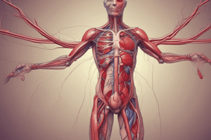 Circulatory Systems: Venous Return and Blood Vessels