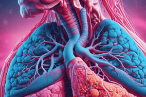 Lung Abscess Overview