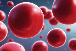 Anaemia: Types and Causes