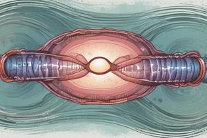 Errors in Meiosis and Chromosome Alterations Quiz