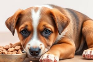 Puppy Care and Nutrition Quiz