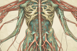 Lecture 9 Lymphatic System A+P2