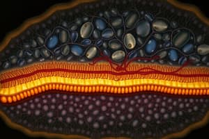 Endomembrane System and Bulk Transport Processes