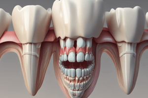 Dental Anatomy: Tooth Identification