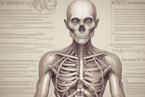 Anatomical Terminology Quiz