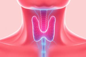 C27- Thyroid Gland